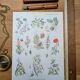 Printed in 1954, calming plants.