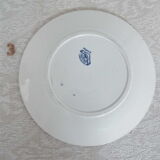 5 flat plates iron earth