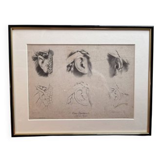 Print Engraving Elementary Course Female Ear Delarue Lemercier