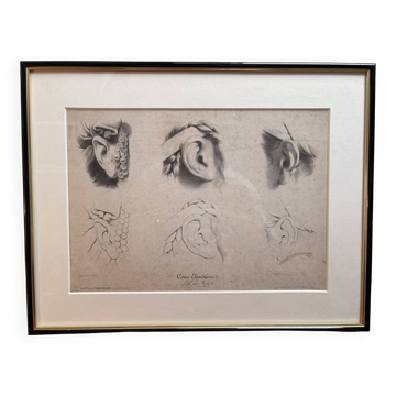 Print Engraving Elementary Course Female Ear Delarue Lemercier