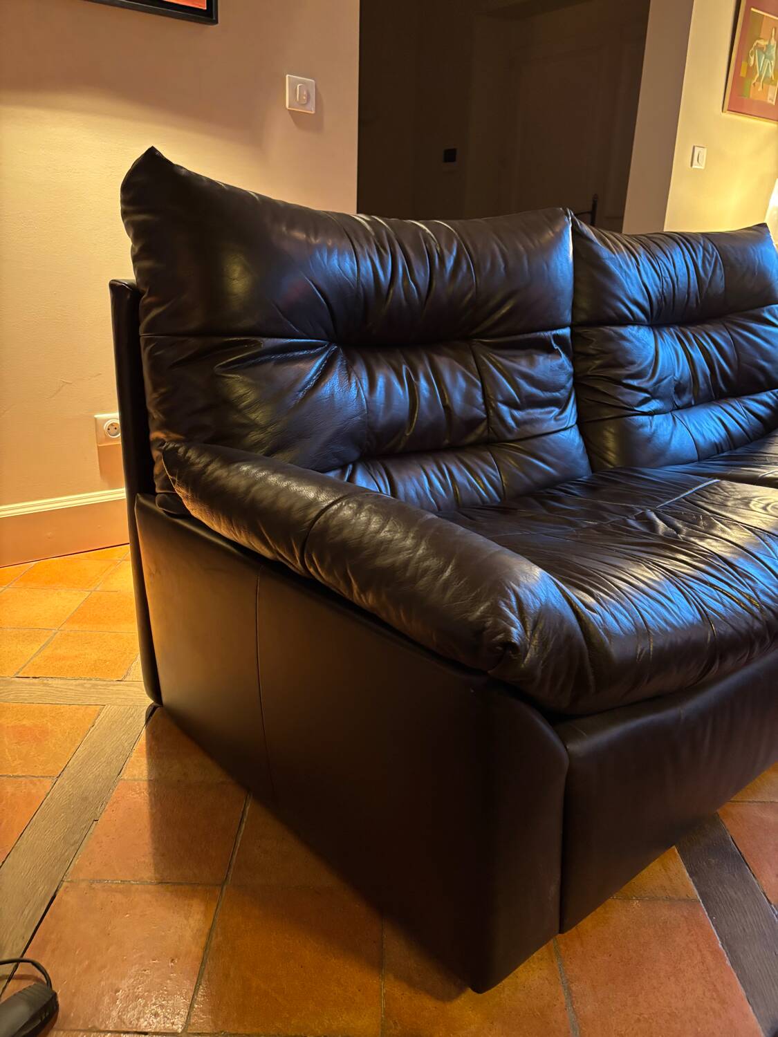 Salon Dianthus de Ligne Roset design Michel Ducaroy