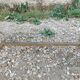Antique vintage coffee table with marble top