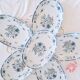 Antique oval Limoges plates
