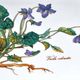 Vintage cake dish - Botanica porcelain platter by Villeroy & Boch "viola odorata"