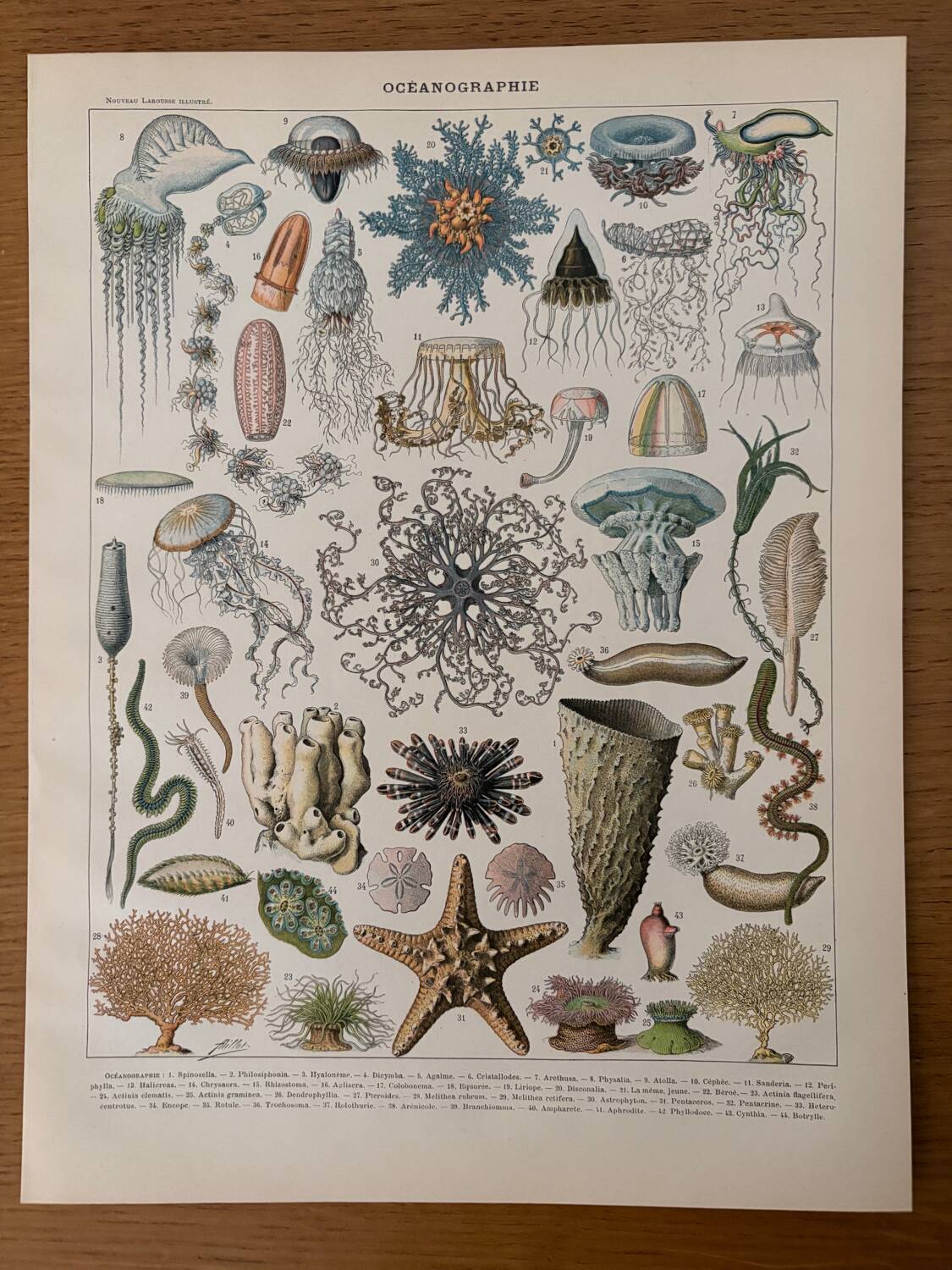 Reserved Marine - Set of 3 lithographs on the marine world XX