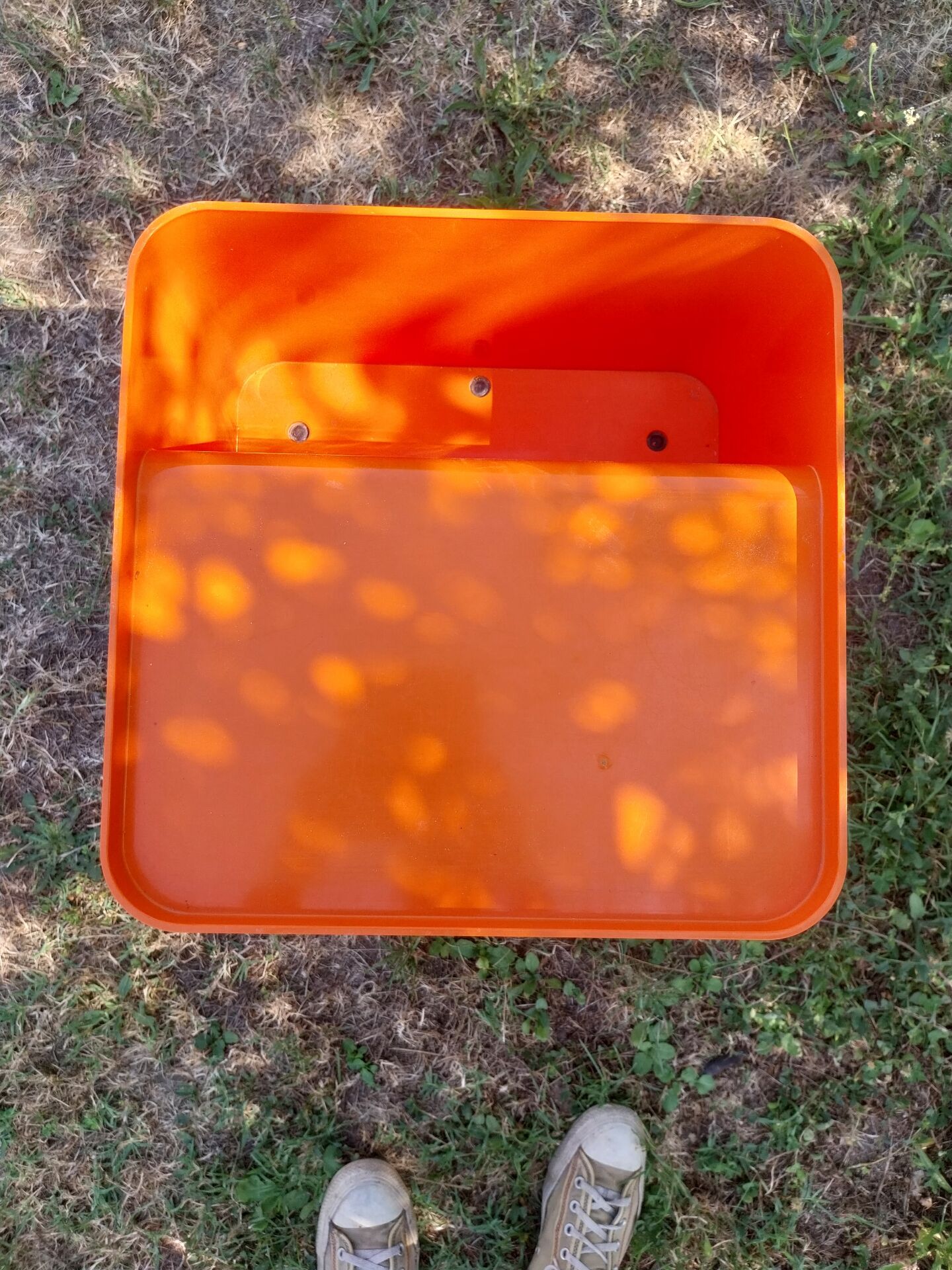 Orange dessert