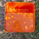 Orange dessert