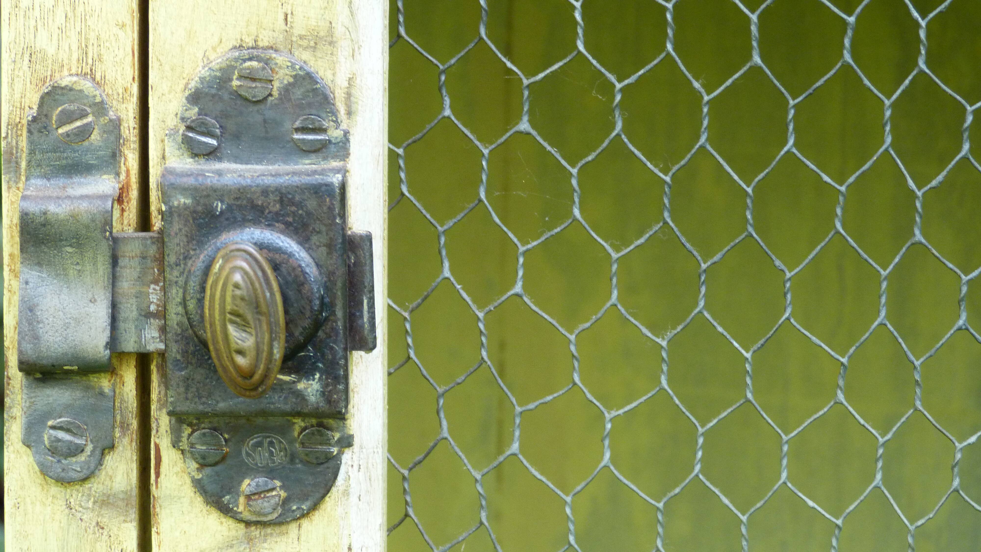 Former toilet cabinet screened door
