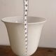 Lampe Bouillotte Style Louis XVI Laiton Doré Tulipe Opaline