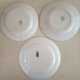 3 plates iron earth Digoin