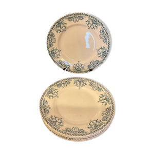 6 assiettes plates Terre