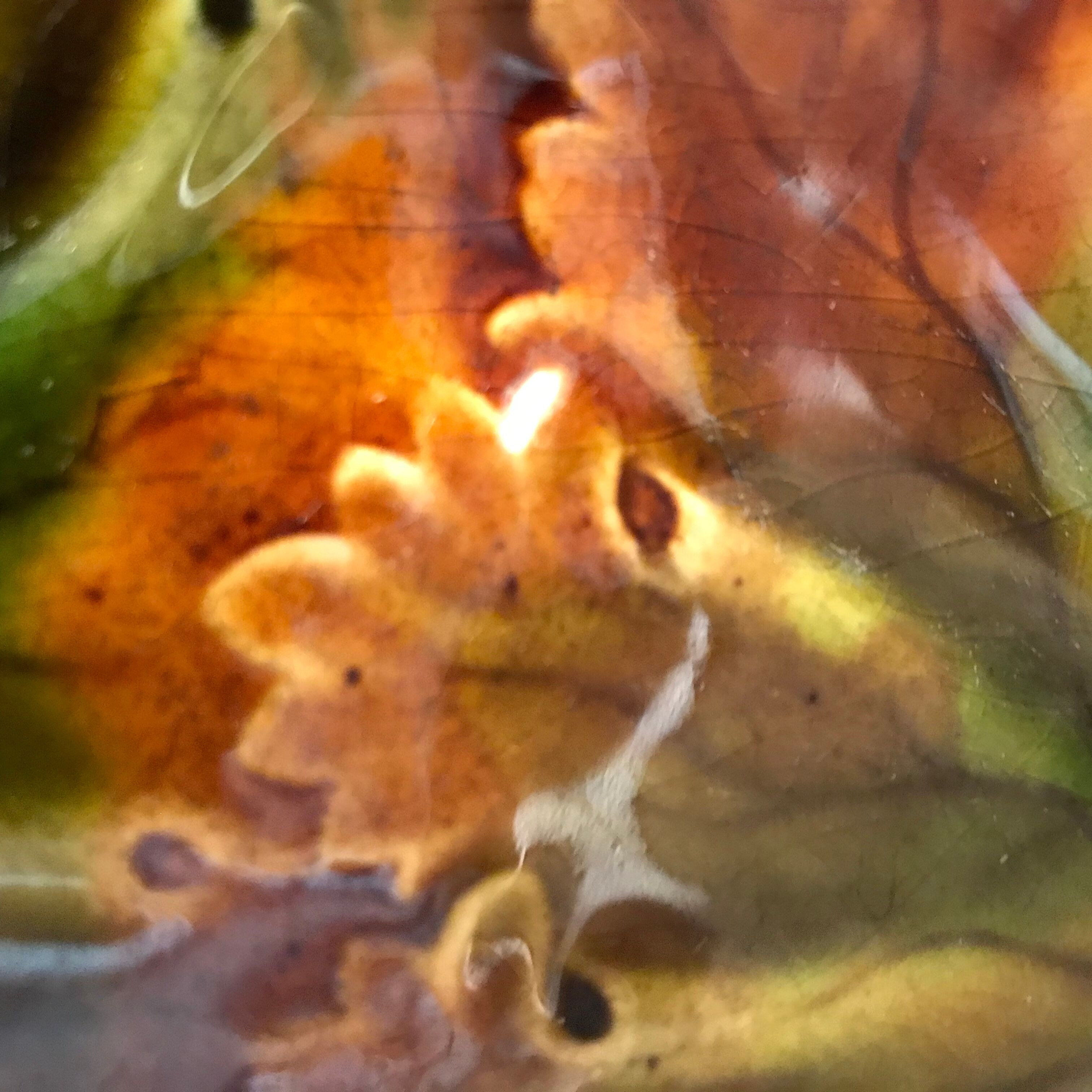 4 assiettes à dessert vintage a décor automnal