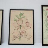 Trois planches botaniques encadrées orchidée rhododendron campanule médium vintage