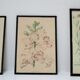 Trois planches botaniques encadrées orchidée rhododendron campanule médium vintage