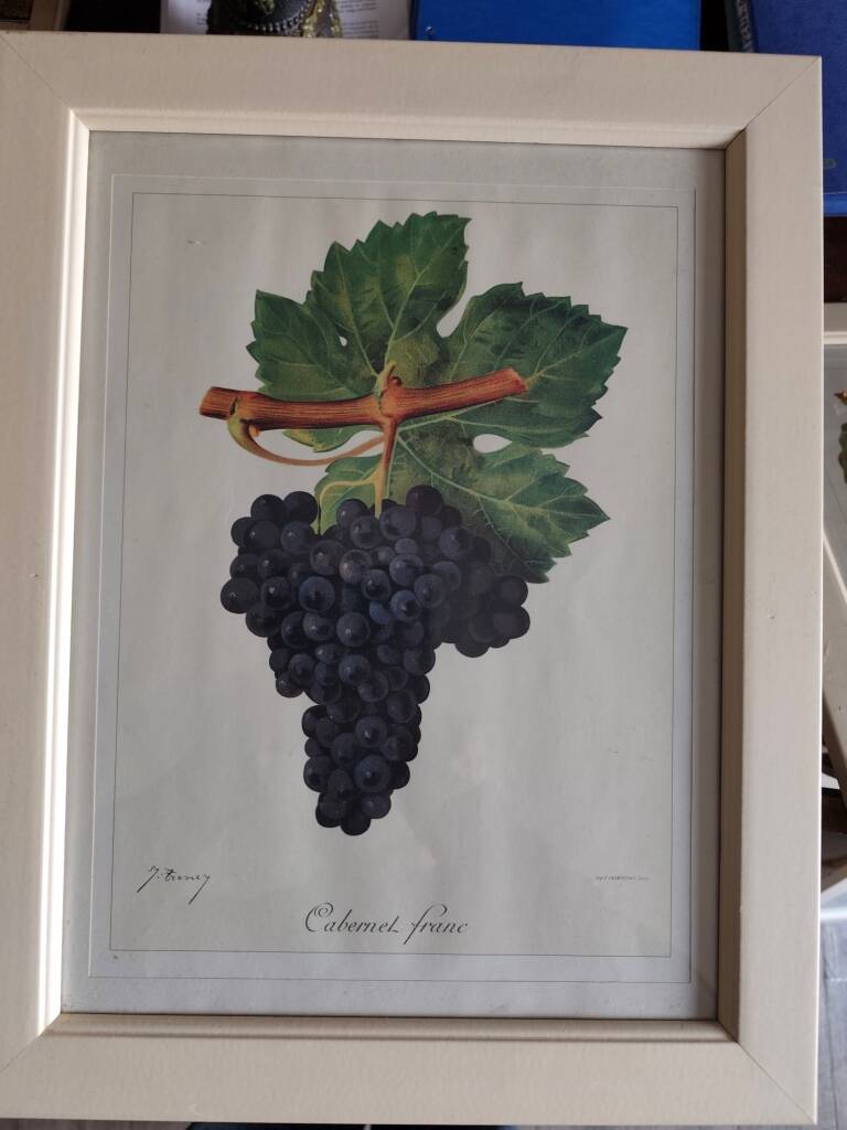 Framed reproduction lithograph of the ampelography treaty by Viala 1901.
