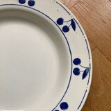 Fruit bowl decorated with blue cherries