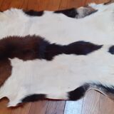 New goat skin