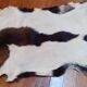 New goat skin