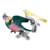 Set of two exotic birds