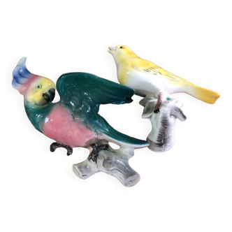 Set of two exotic birds