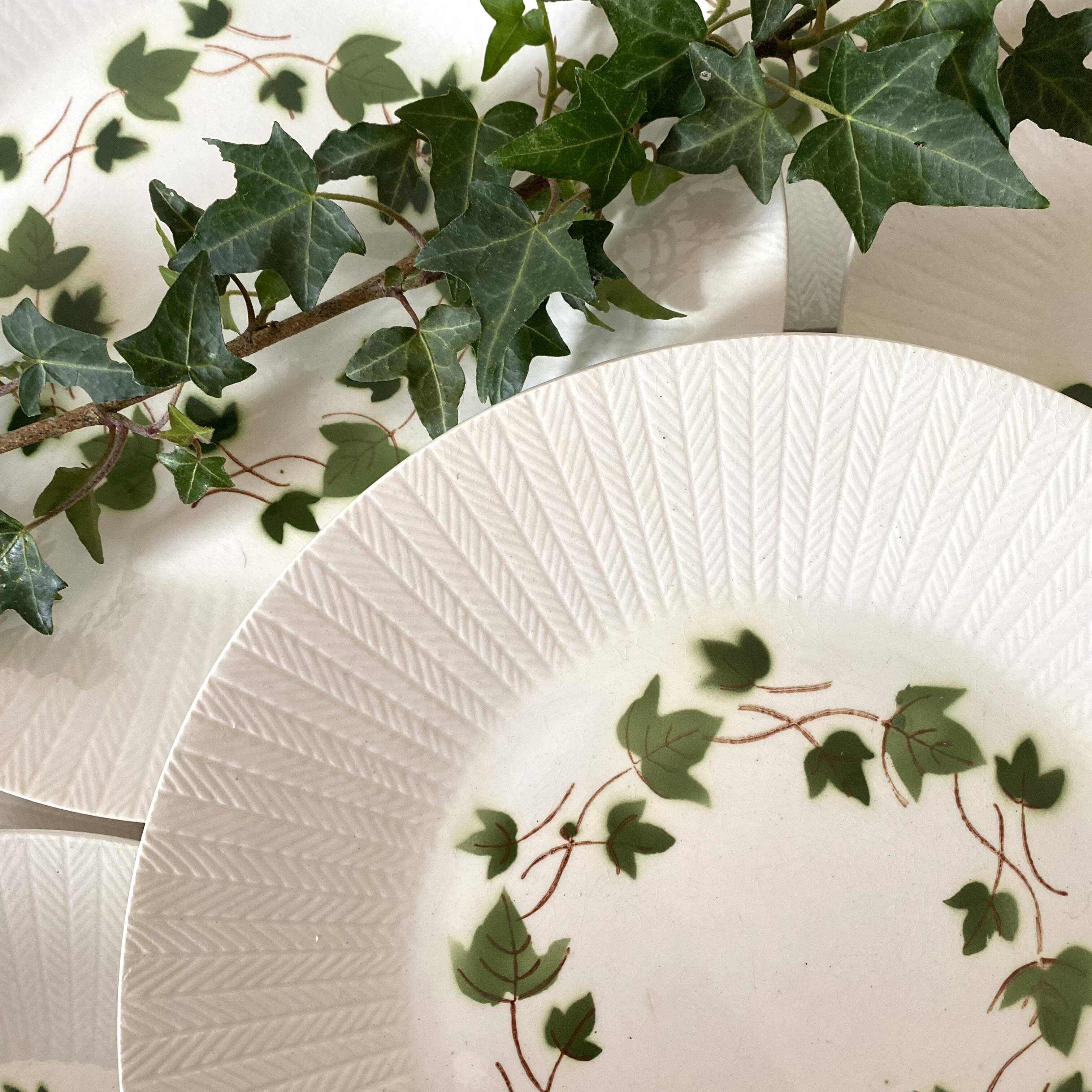 Antique dinner plates Saint Amand Ceranord, Bourrasque