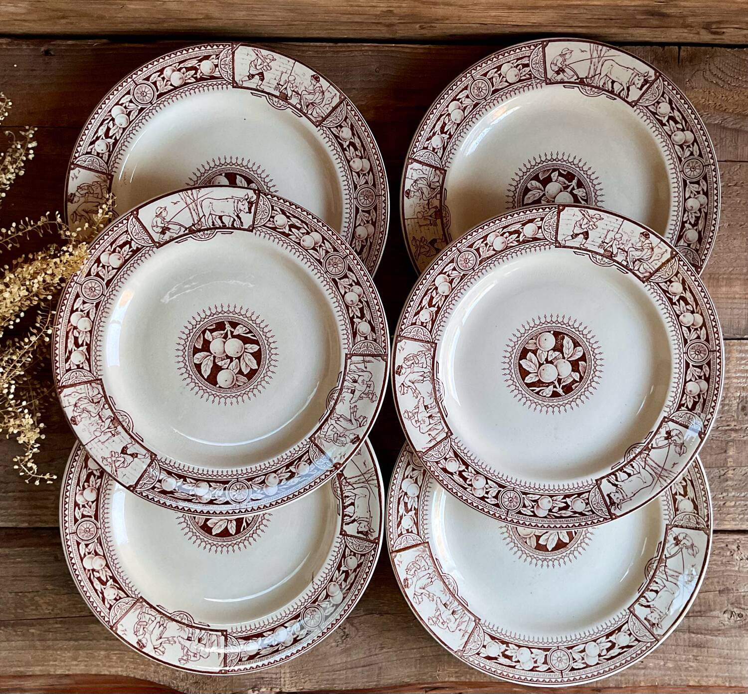 6 BROWNFIELD & SONS “Chelsea” England plates