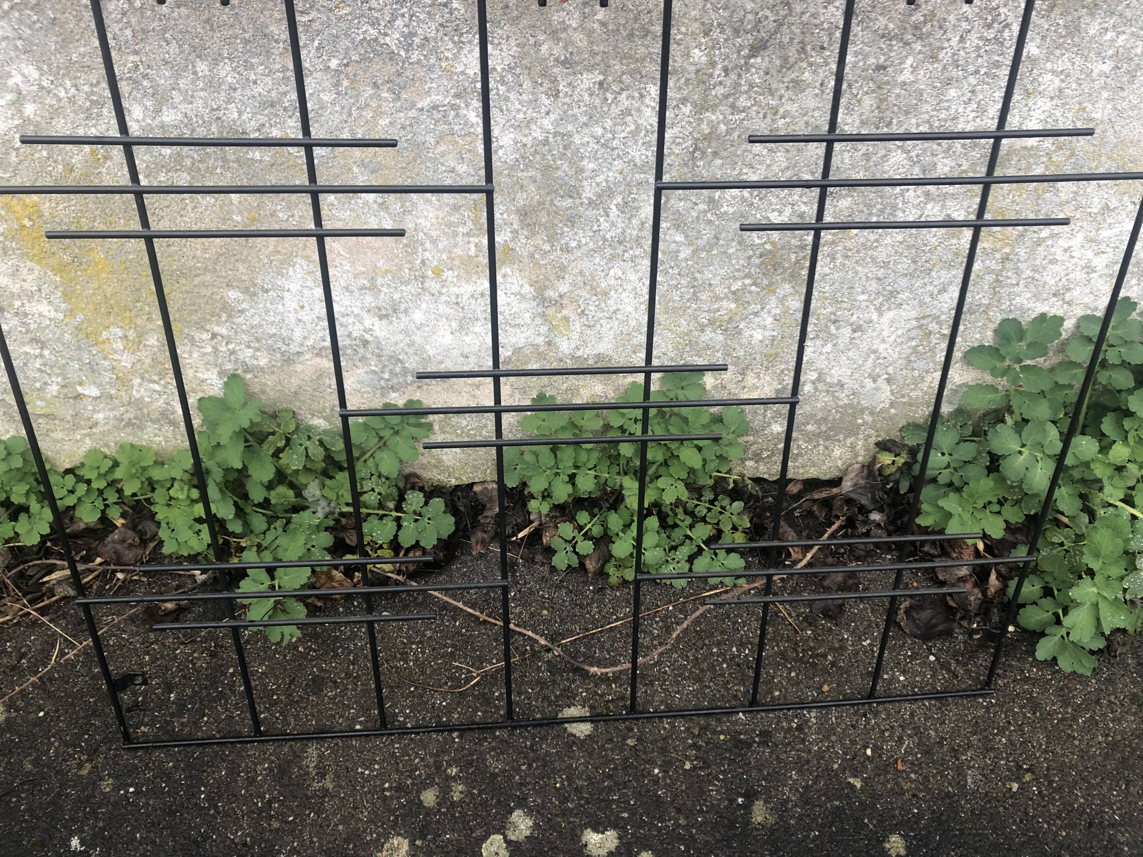 Wall rack to hang vintage 60s