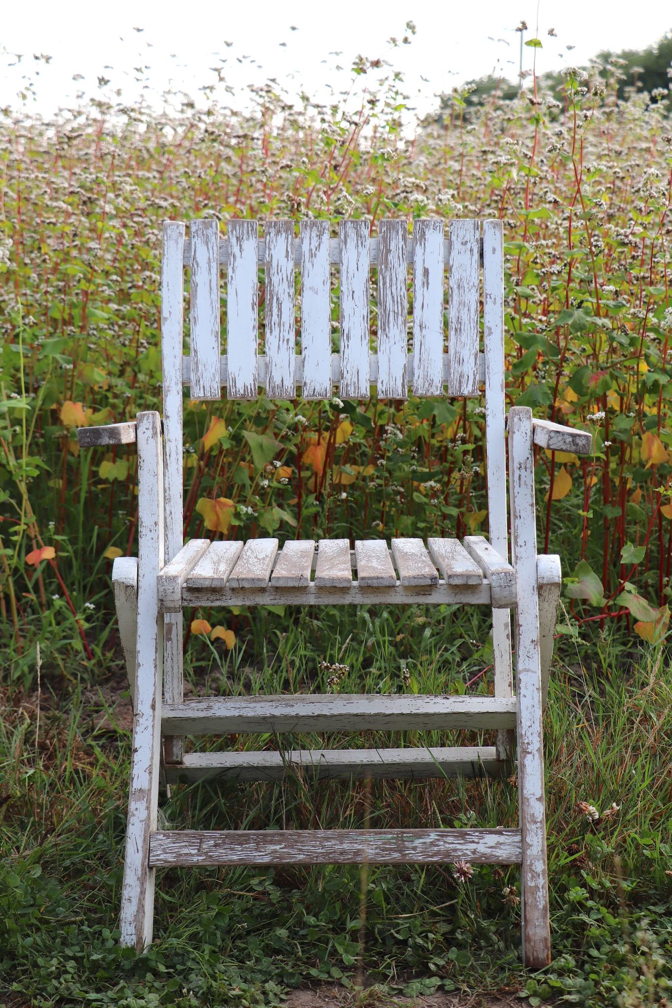Set of 4 folding garden chairs in slatted wood – 1940 design