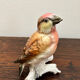 Karl Ens - Bird Figurine - Porcelain