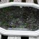 Antique mirror art deco 43x89 cm