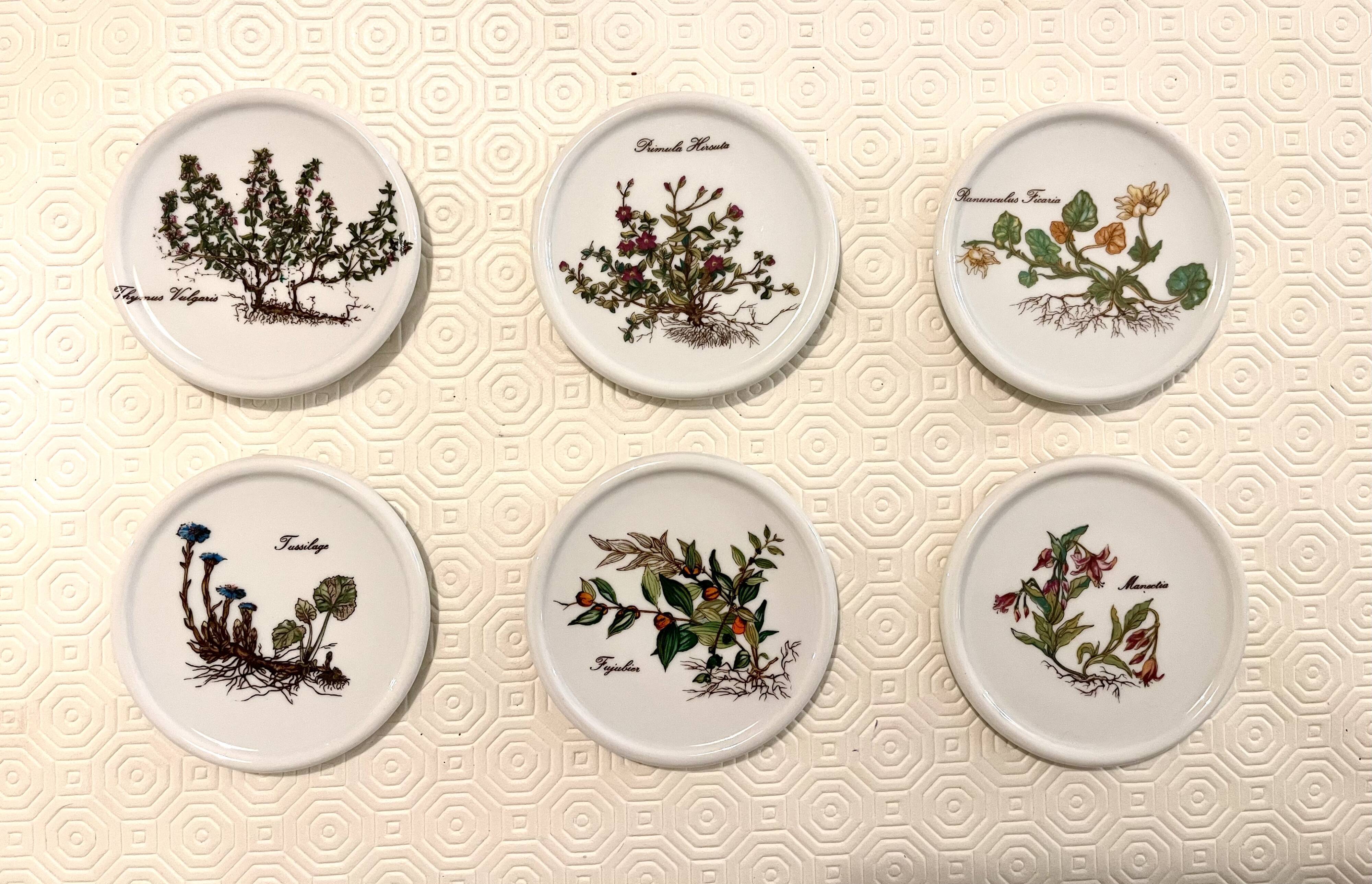 6 under glass porcelain 1970