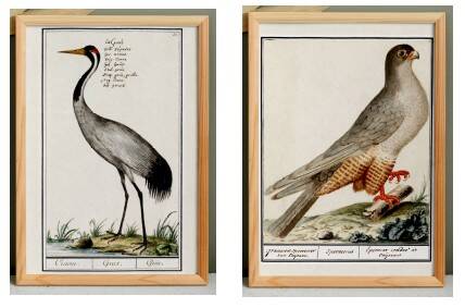Set of 4 posters, based on engravings from 1610 and 1893