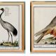 Set of 4 posters, based on engravings from 1610 and 1893