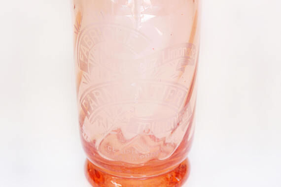 Siphon glass rose