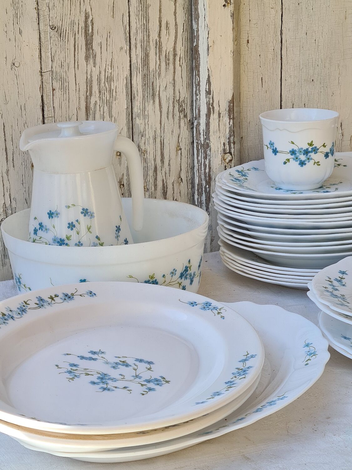 Plat Ovale Arcopal Myosotis Veronica - Service De Table Vintage - Occasion