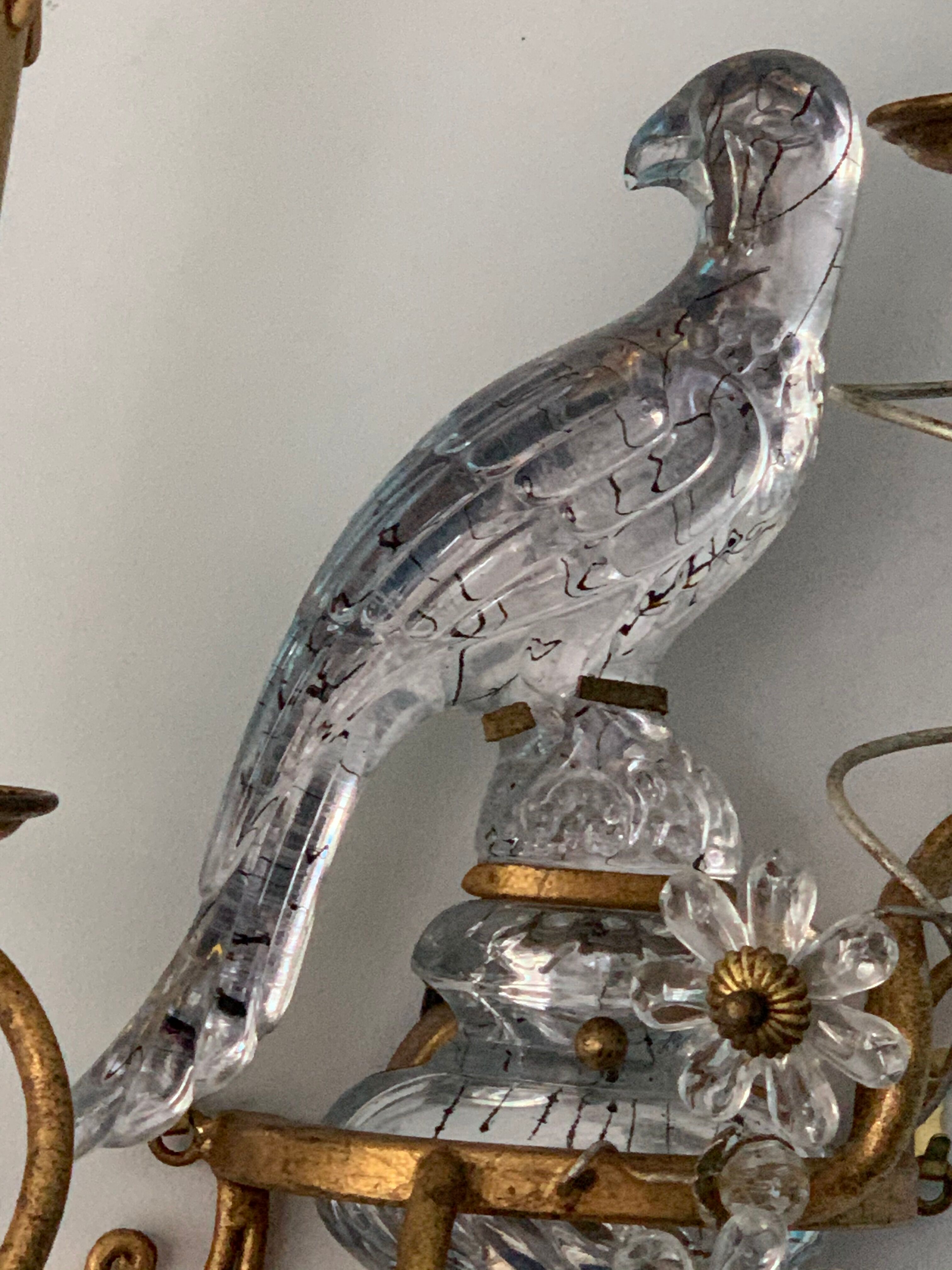 Pair of parrot crystal or parakeet wall sconces Maison Baguès 1950