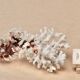 Imposing natural white coral, 70s