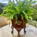 Magnificent mahogany planter