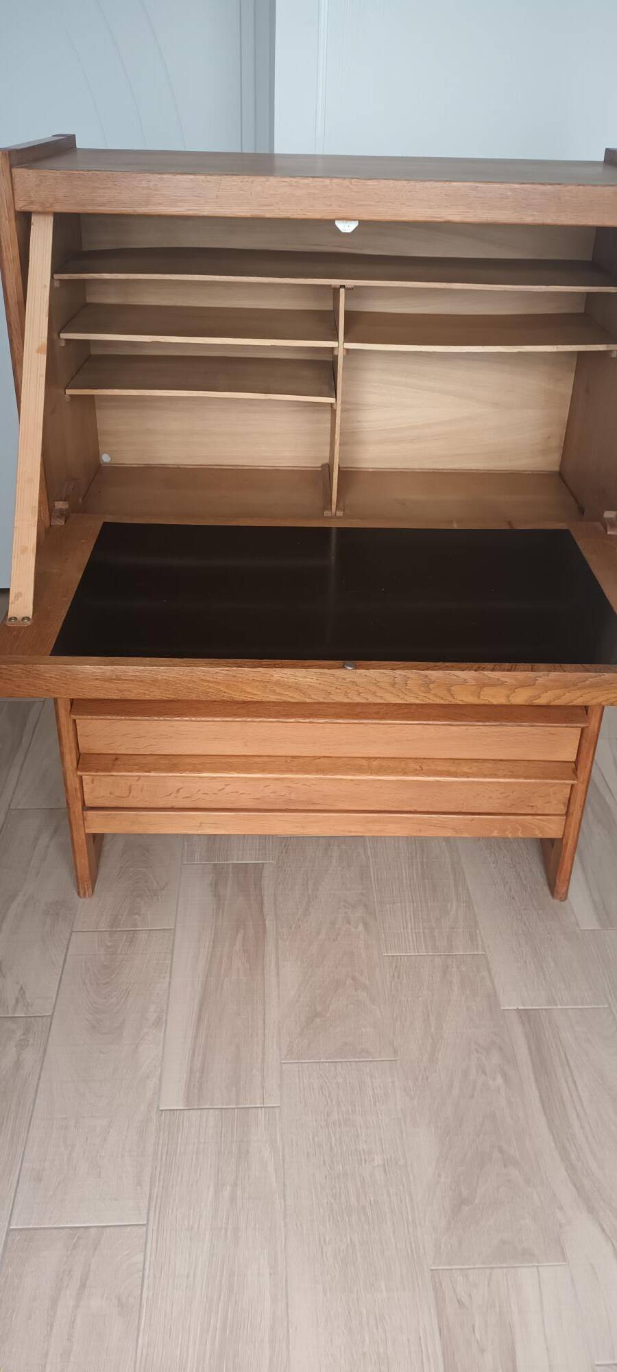 Secretary Guillerme and Chambron