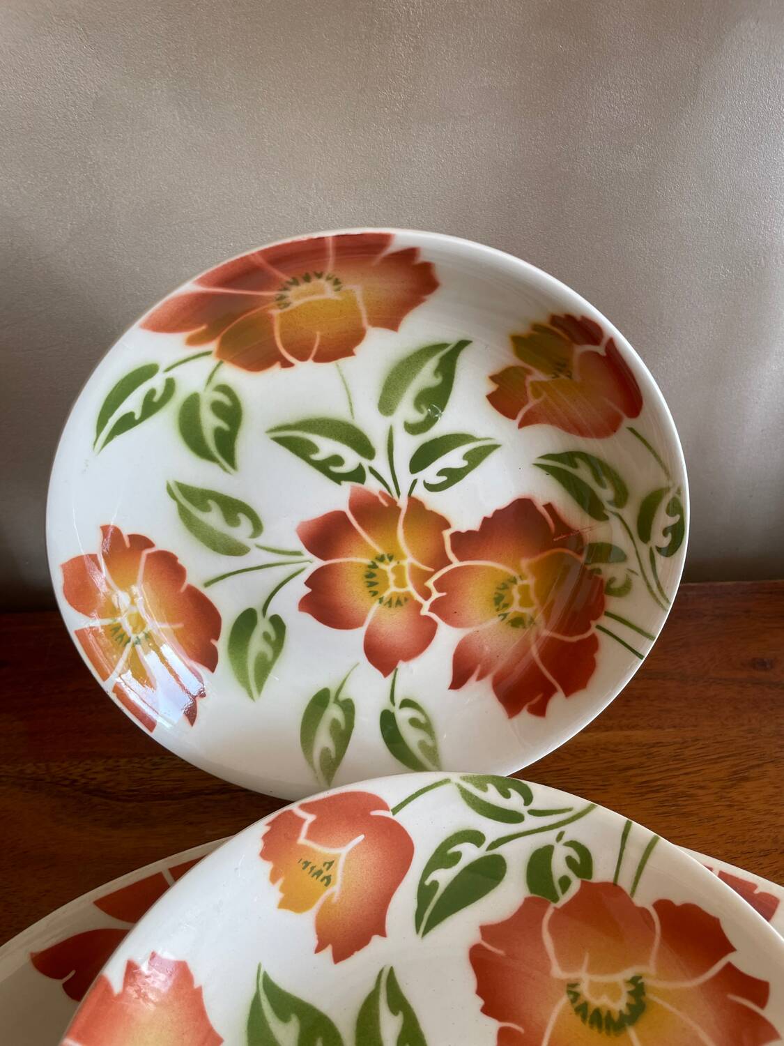 5 deep plates and flat plates Moulin des Loups