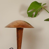 Vintage copper lamp