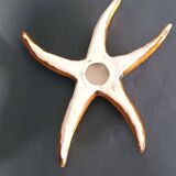 Two vintage ceramic wall pots featuring a seahorse and a starfish.