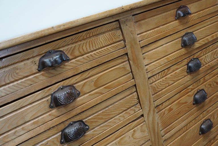 Apothecary furniture in French pine twentieth century