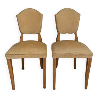 Pair of 1940 chairs in lemon wood, saber legs, velvet fabric