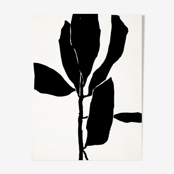 Botanical illustration in black, 50x70