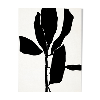 Botanical illustration in black, 50x70