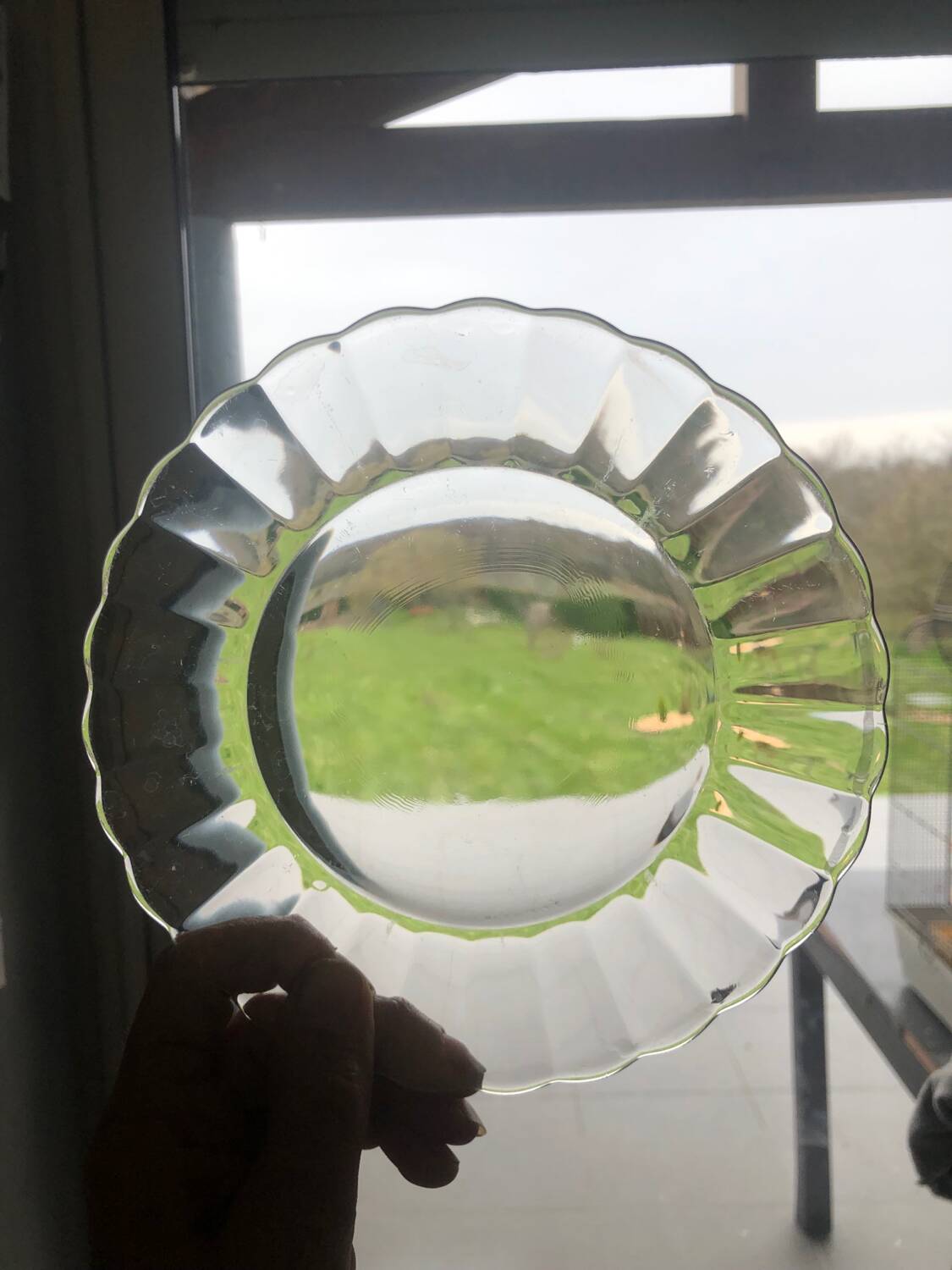 Duralex dessert plates in the shape of a daisy flower, transparent glass
