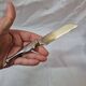 Foie gras knife