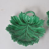 Empty fig leaf pockets