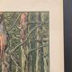 Lithograph by Henri Rivière Summer Evening - Aspects of Nature